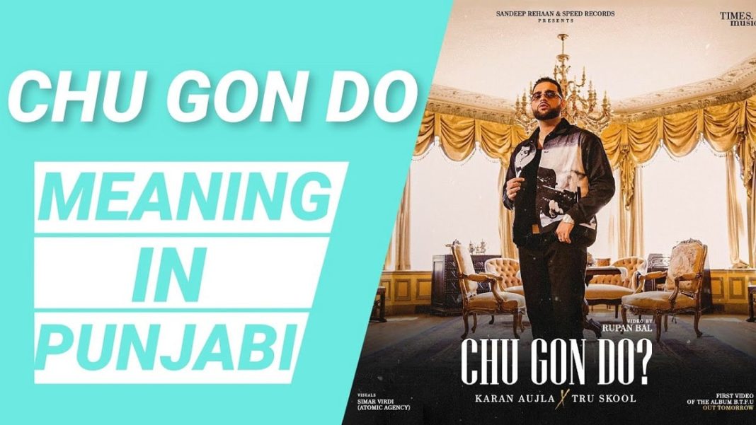 chu-gon-do-meaning-karan-aujla-bacthafuc-up-new-album-title-song-chu