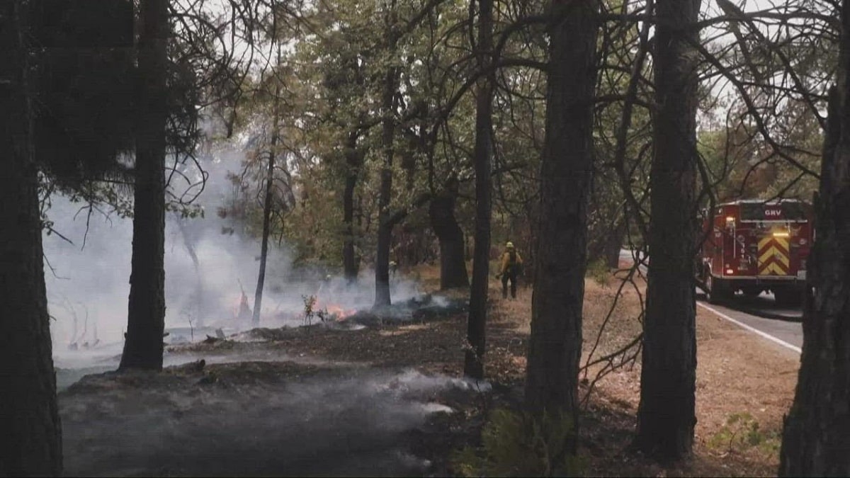 Mt Hayes Fire Update